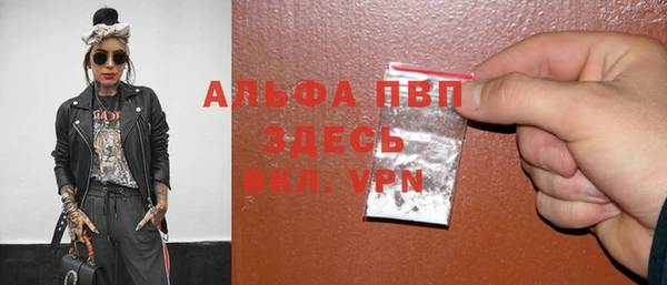 крисы Абаза