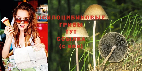 соль ск Абдулино