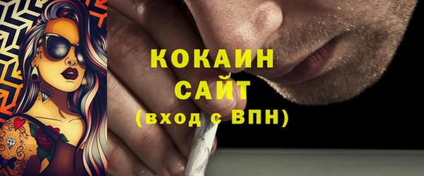 шишки Абинск