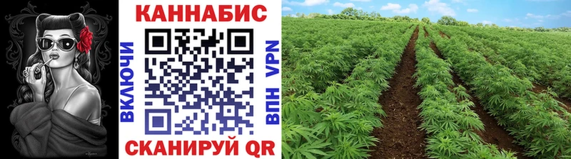 как найти закладки  Киржач  Бошки Шишки ГИДРОПОН 